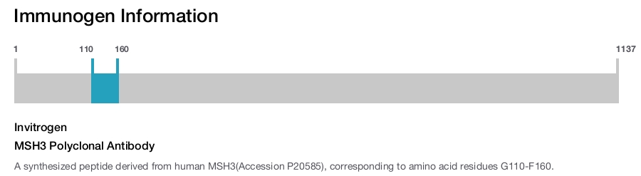 MSH3 Polyclonal Antibody