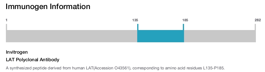 LAT Polyclonal Antibody