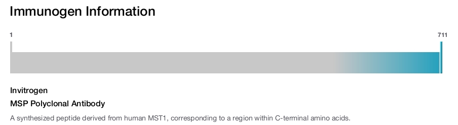 MSP Polyclonal Antibody
