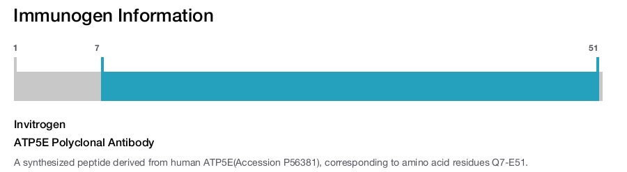 ATP5E Polyclonal Antibody