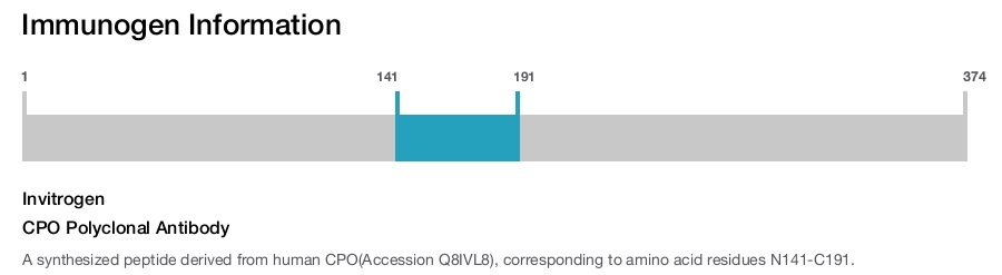 CPO Polyclonal Antibody