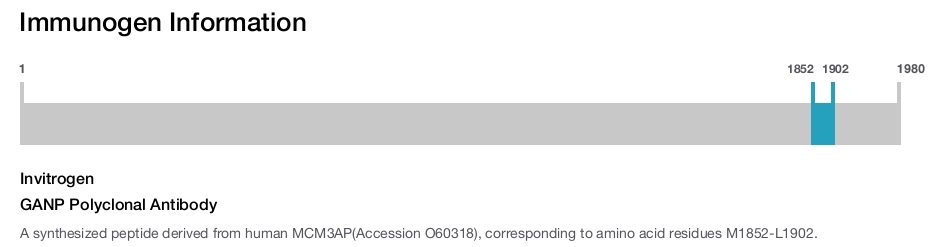 GANP Polyclonal Antibody