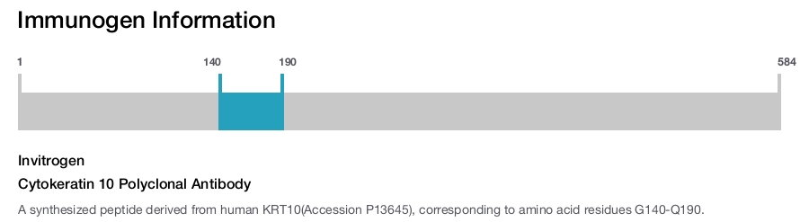 Cytokeratin 10 Polyclonal Antibody