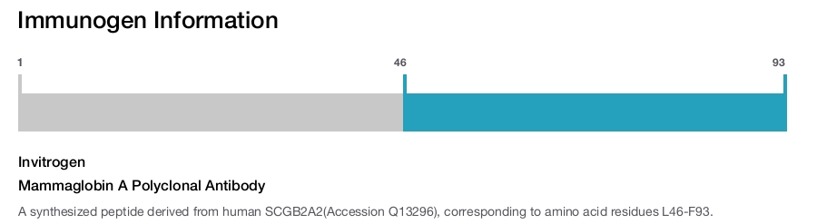 Mammaglobin A Polyclonal Antibody