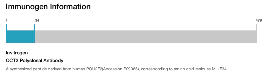 OCT2 Polyclonal Antibody