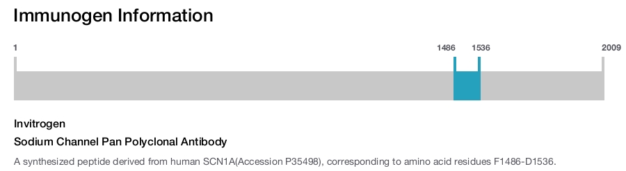 Sodium Channel Pan Polyclonal Antibody