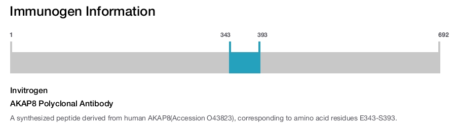 AKAP8 Polyclonal Antibody