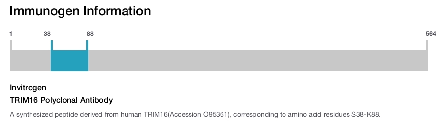 TRIM16 Polyclonal Antibody