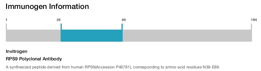 RPS9 Polyclonal Antibody