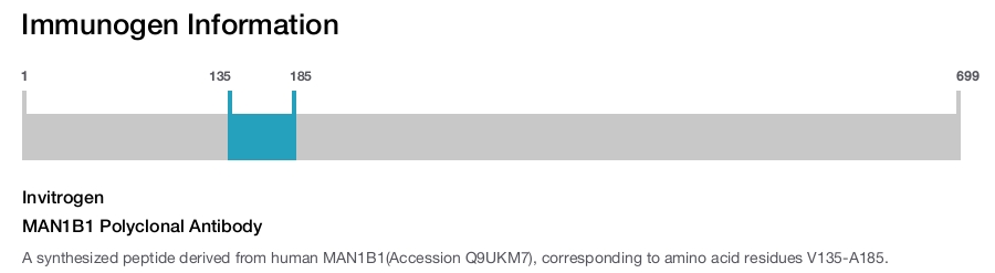 MAN1B1 Polyclonal Antibody