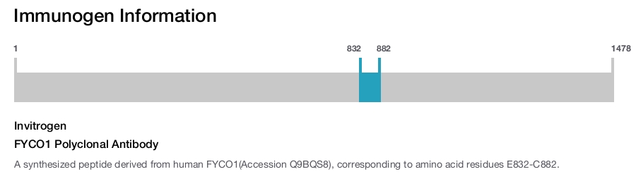 FYCO1 Polyclonal Antibody