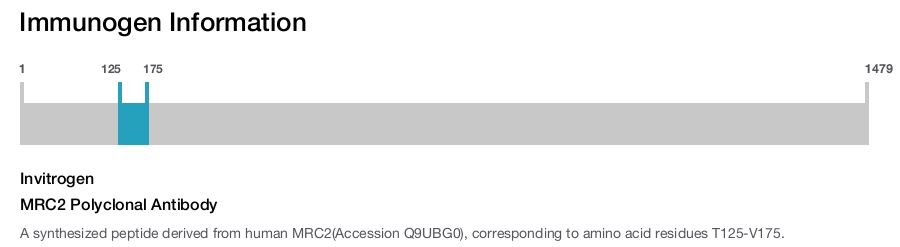 MRC2 Polyclonal Antibody