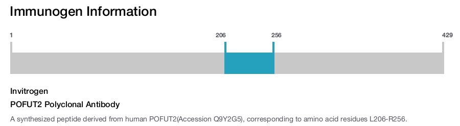 POFUT2 Polyclonal Antibody