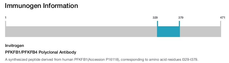 PFKFB1/PFKFB4 Polyclonal Antibody