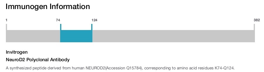 NeuroD2 Polyclonal Antibody