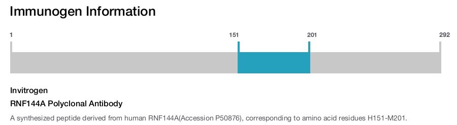 RNF144A Polyclonal Antibody