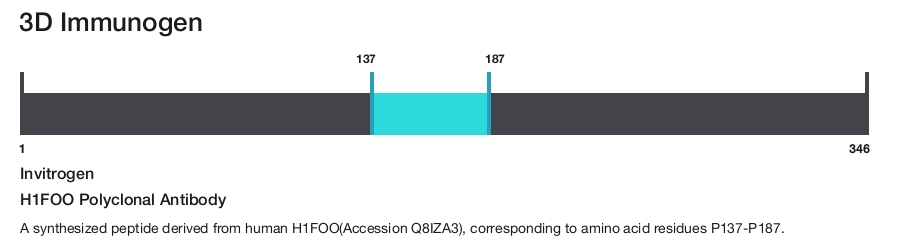 H1FOO Polyclonal Antibody
