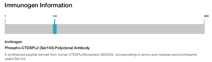 Phospho-CTDSPL2 (Ser104) Polyclonal Antibody