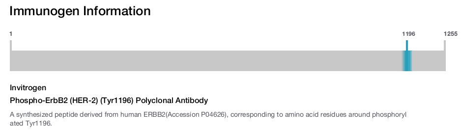 Phospho-ErbB2 (HER-2) (Tyr1196) Polyclonal Antibody