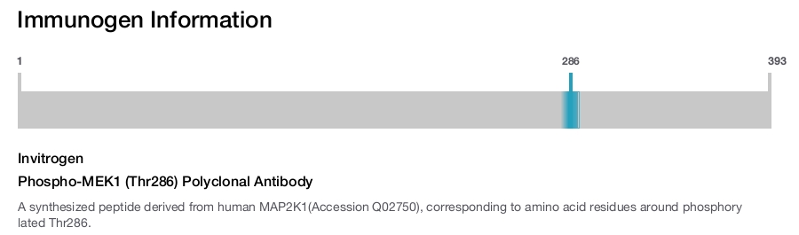 Phospho-MEK1 (Thr286) Polyclonal Antibody