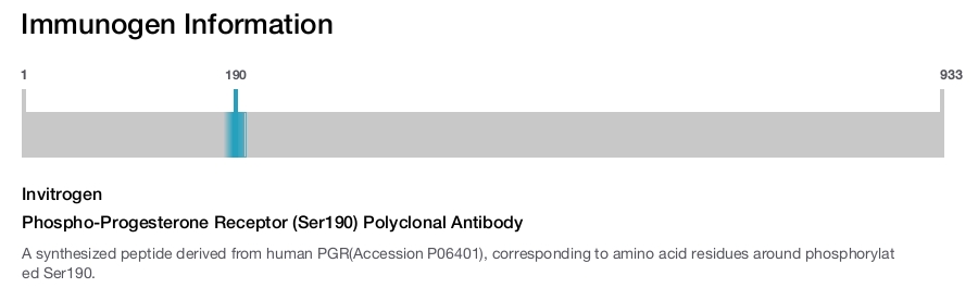 Phospho-Progesterone Receptor (Ser190) Polyclonal Antibody