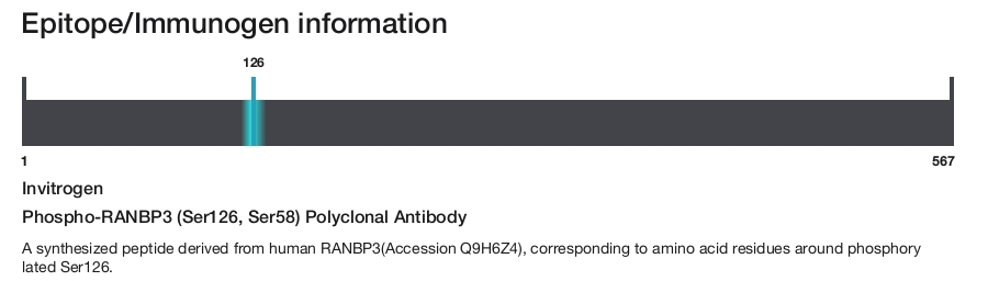Phospho-RANBP3 (Ser126, Ser58) Polyclonal Antibody