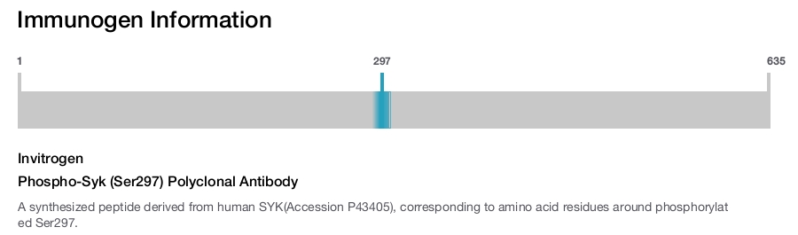 Phospho-Syk (Ser297) Polyclonal Antibody