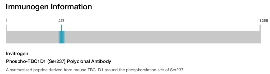 Phospho-TBC1D1 (Ser237) Polyclonal Antibody