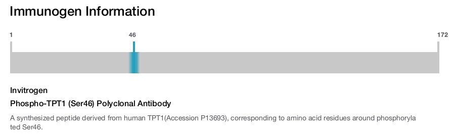 Phospho-TPT1 (Ser46) Polyclonal Antibody