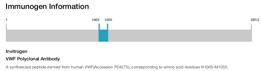 VWF Polyclonal Antibody