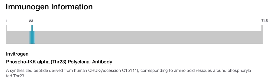 Phospho-IKK alpha (Thr23) Polyclonal Antibody