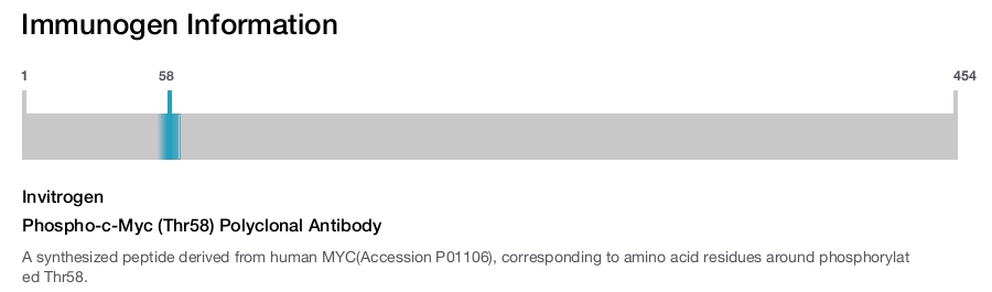 Phospho-c-Myc (Thr58) Polyclonal Antibody