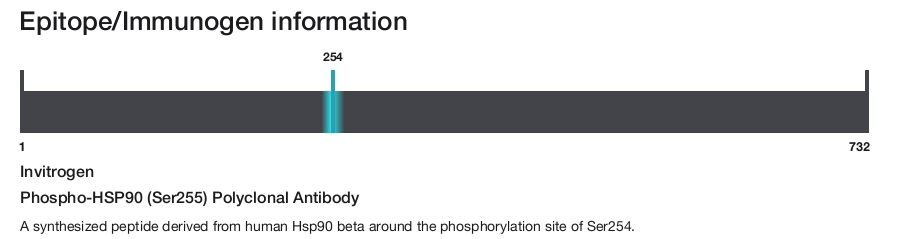 Phospho-HSP90 (Ser255) Polyclonal Antibody