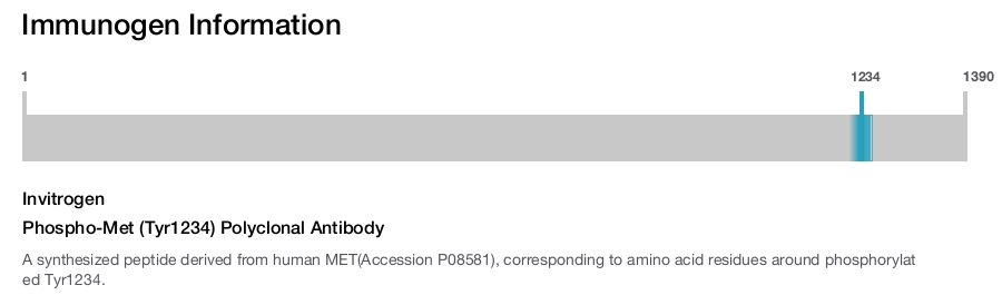 Phospho-Met (Tyr1234) Polyclonal Antibody