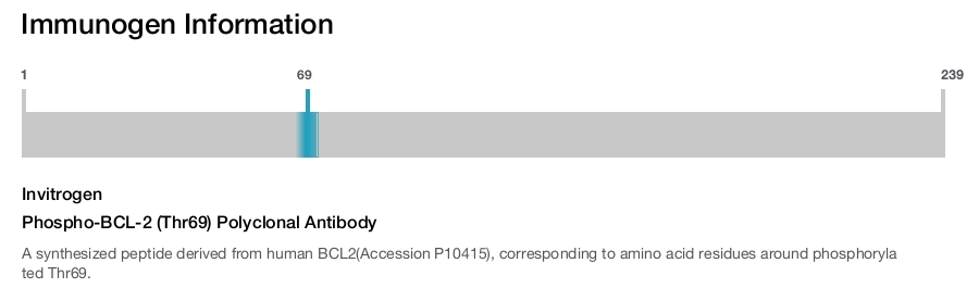Phospho-BCL-2 (Thr69) Polyclonal Antibody
