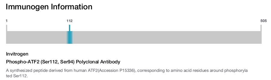 Phospho-ATF2 (Ser112, Ser94) Polyclonal Antibody