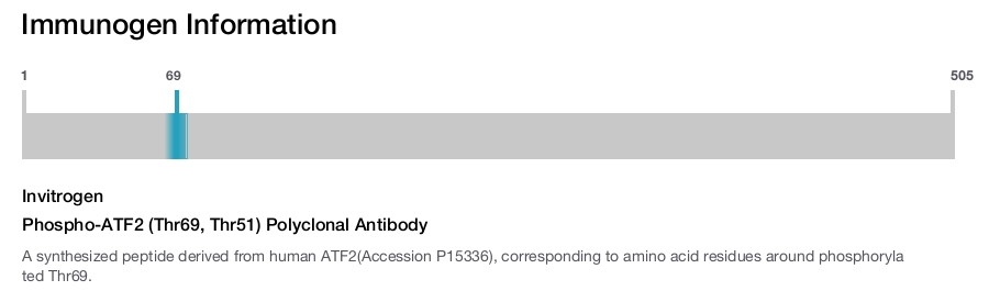 Phospho-ATF2 (Thr69, Thr51) Polyclonal Antibody