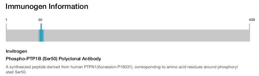 Phospho-PTP1B (Ser50) Polyclonal Antibody