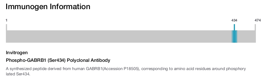 Phospho-GABRB1 (Ser434) Polyclonal Antibody