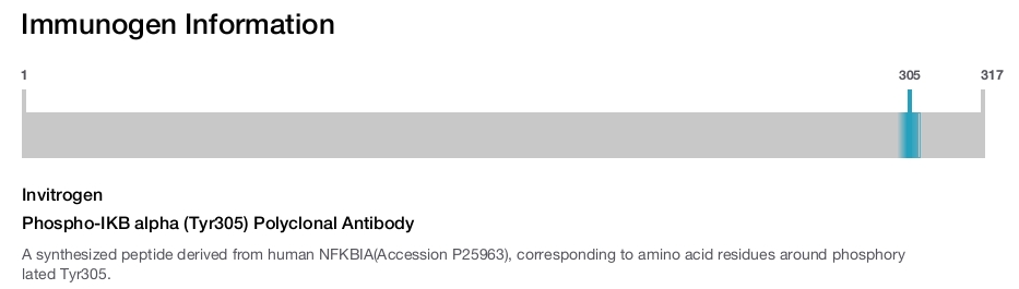 Phospho-IKB alpha (Tyr305) Polyclonal Antibody
