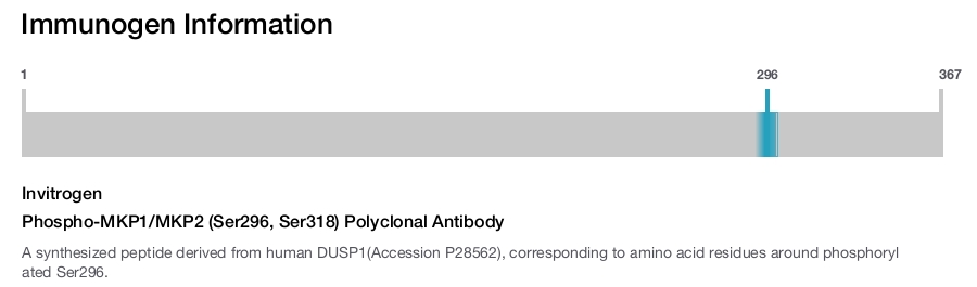 Phospho-MKP1/MKP2 (Ser296, Ser318) Polyclonal Antibody