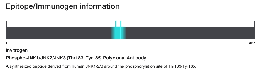 Phospho-JNK1/JNK2/JNK3 (Thr183, Tyr185) Polyclonal Antibody