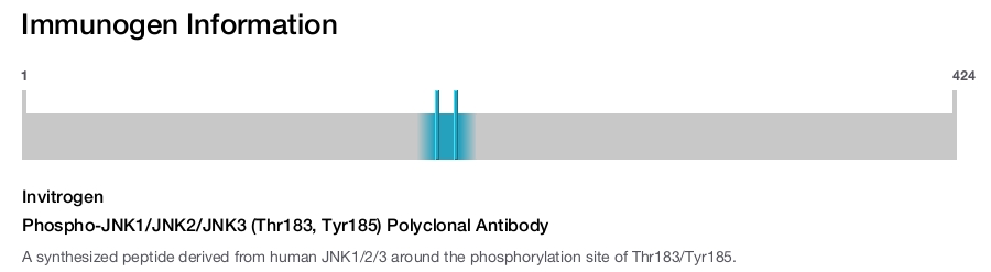Phospho-JNK1/JNK2/JNK3 (Thr183, Tyr185) Polyclonal Antibody