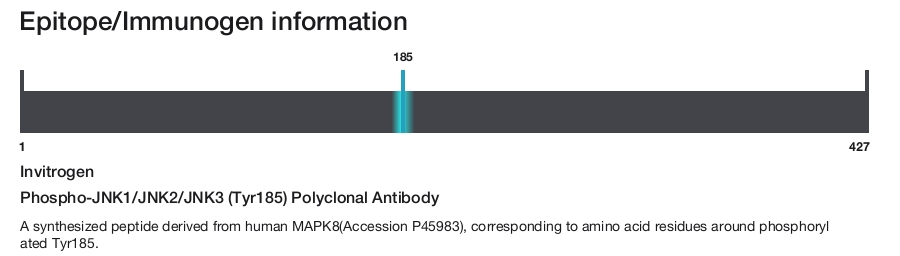 Phospho-JNK1/JNK2/JNK3 (Tyr185) Polyclonal Antibody