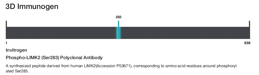 Phospho-LIMK2 (Ser283) Polyclonal Antibody