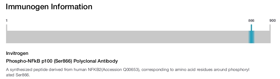 Phospho-NFkB p100 (Ser866) Polyclonal Antibody