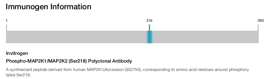 Phospho-MAP2K1/MAP2K2 (Ser218) Polyclonal Antibody