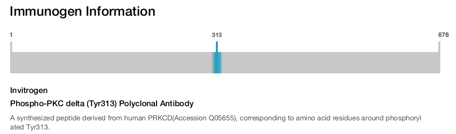 Phospho-PKC delta (Tyr313) Polyclonal Antibody