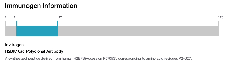 H2BK16ac Polyclonal Antibody