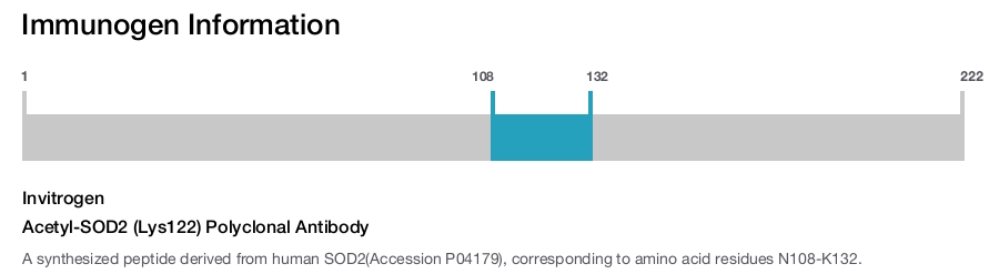 Acetyl-SOD2 (Lys122) Polyclonal Antibody